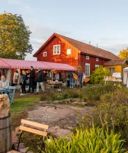 Öppen gård på landsbygden med marknadsförsäljning under Skördefesten på Åland.