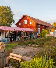 Öppen gård på landsbygden med marknadsförsäljning under Skördefesten på Åland.